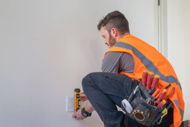 Best Ceiling Fan Installation Electrician  in Webster Groves, MO