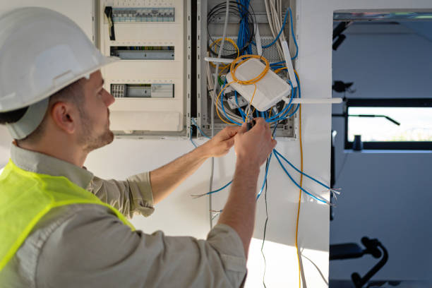 Best Electric Panel Repair  in Webster Groves, MO